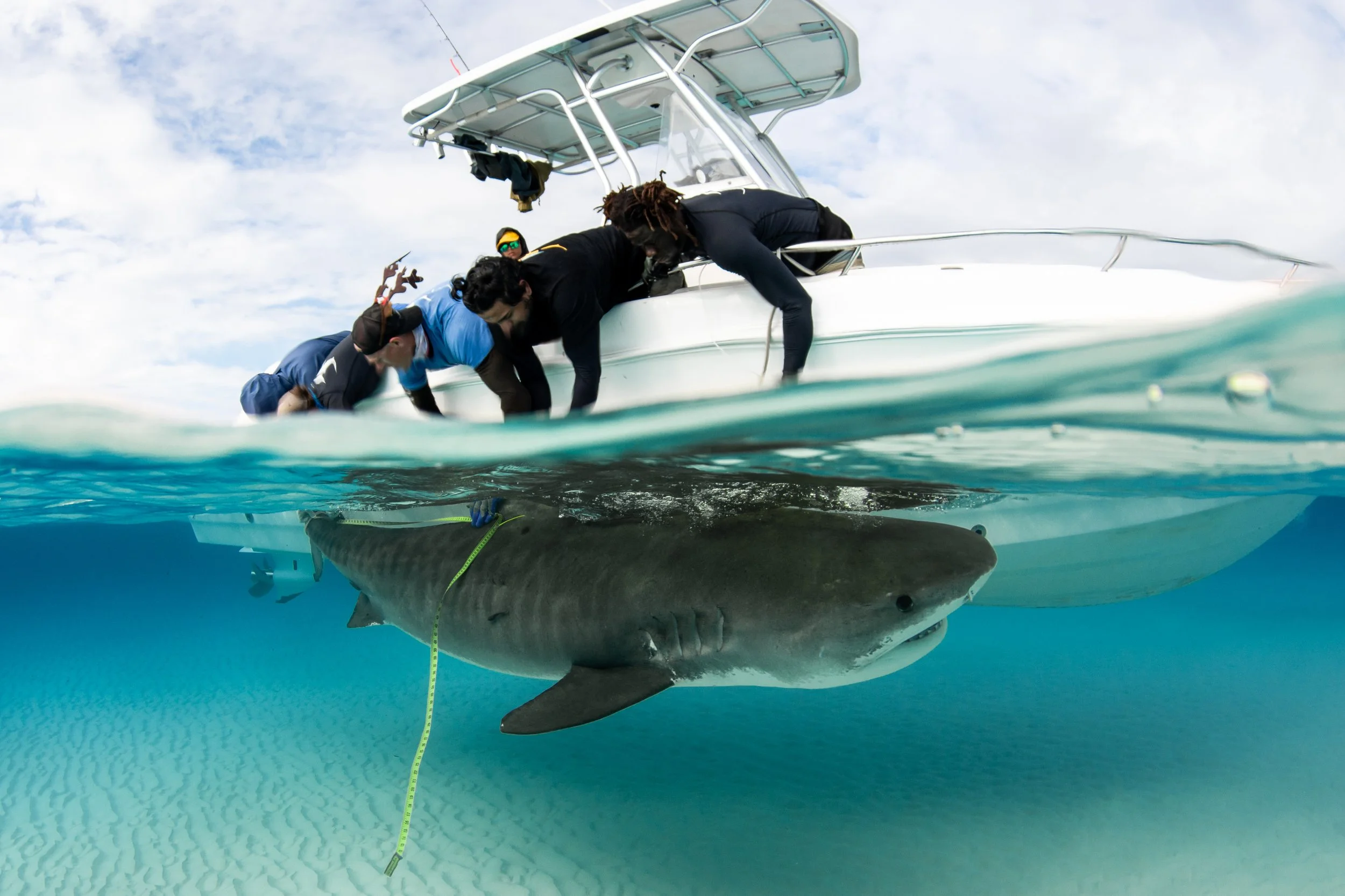 Expedition - November 2024 — Saving the Blue